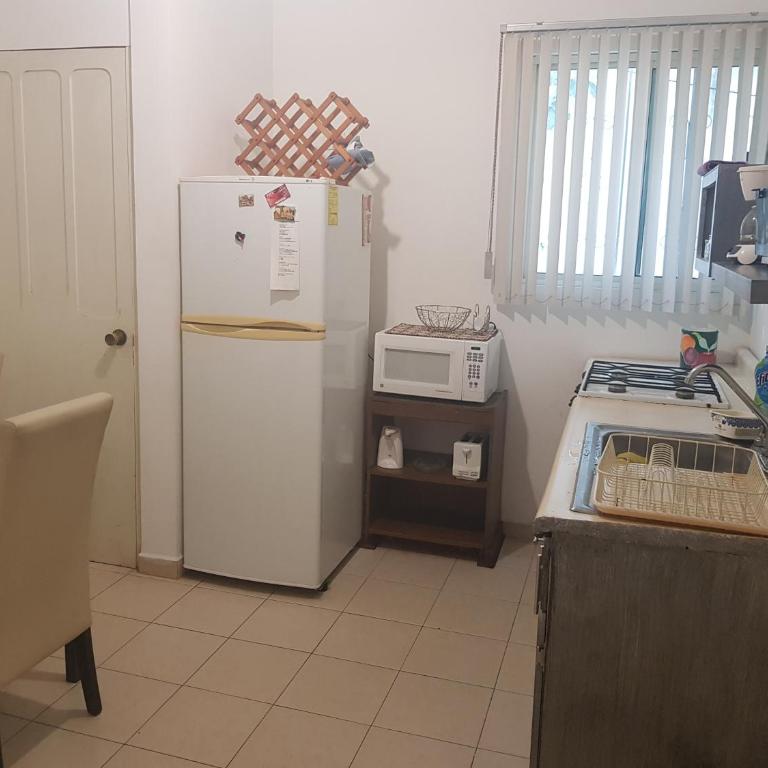 Contry La Silla Apartments zona tec - Nuevo Sur - Apartment - 2