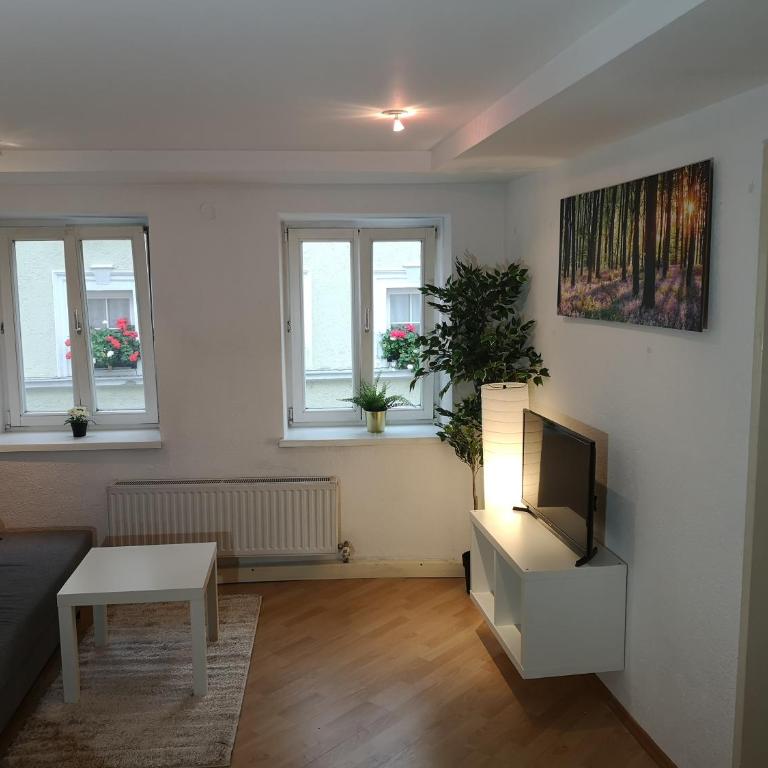 Innsbruck Old Town Apartment - Appartamento con 1 Camera da Letto - 24