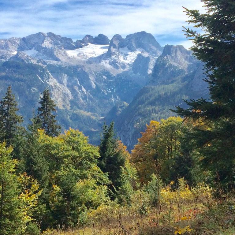 Dachstein Mountainview Gosau - Appartamento - 33