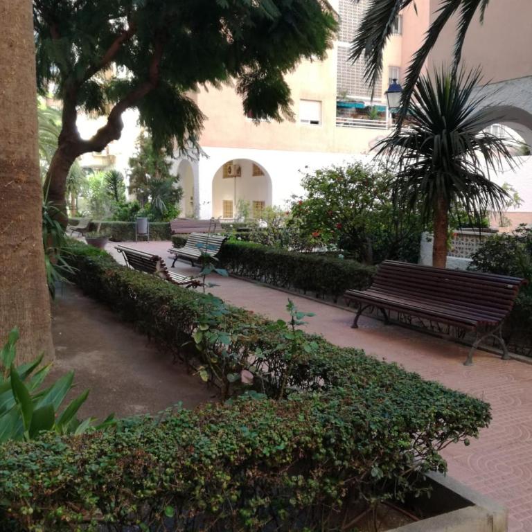 La casa de Blanca. Coqueto piso céntrico y cerca de todo - Apartamento - 3
