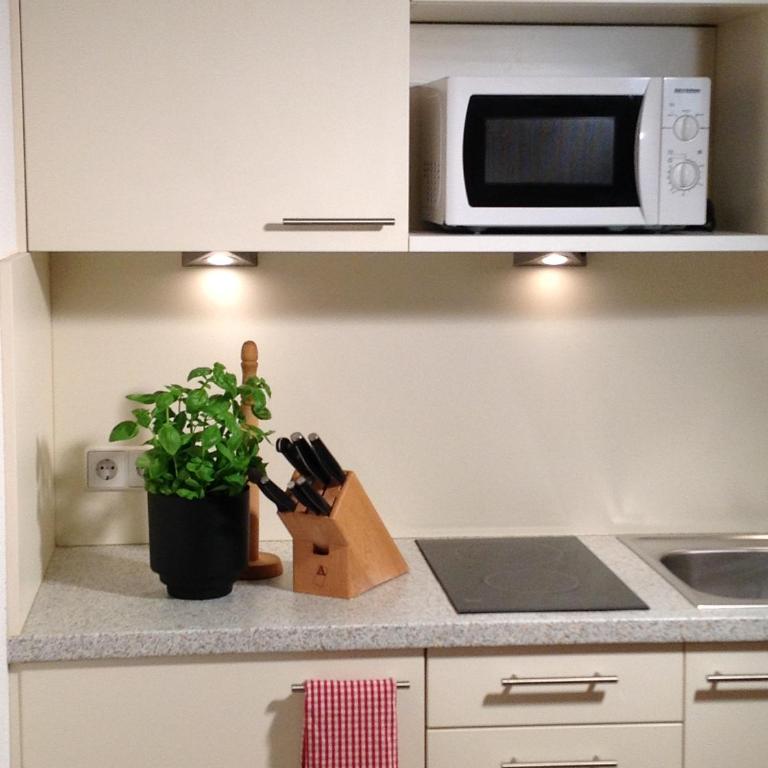 Wellnessapartment Alpenland Top 22 - Studio-Apartment - 5