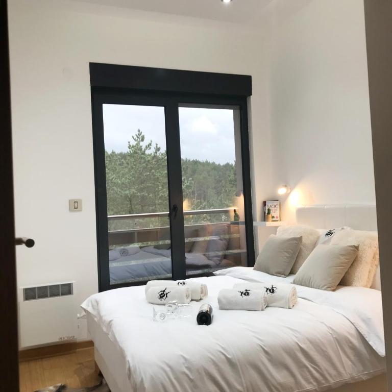 Apartment Pino Bianco 2 - Vila Peković - Apartman - 19