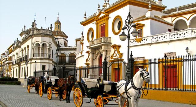 SEVILLA BUTTERFLY SUITES - Apartamento - 29