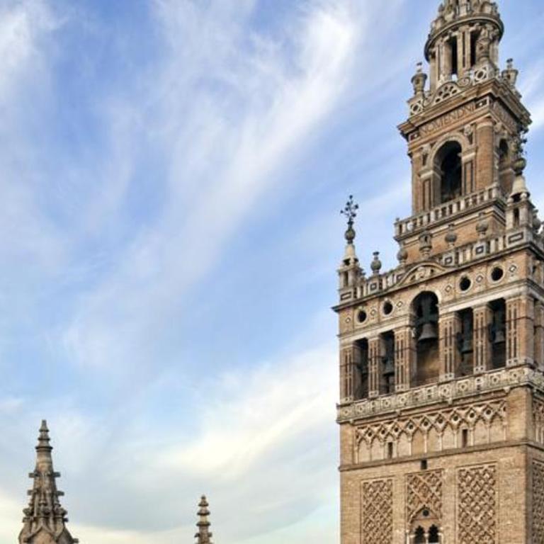 SEVILLA BUTTERFLY SUITES - Apartamento - 19