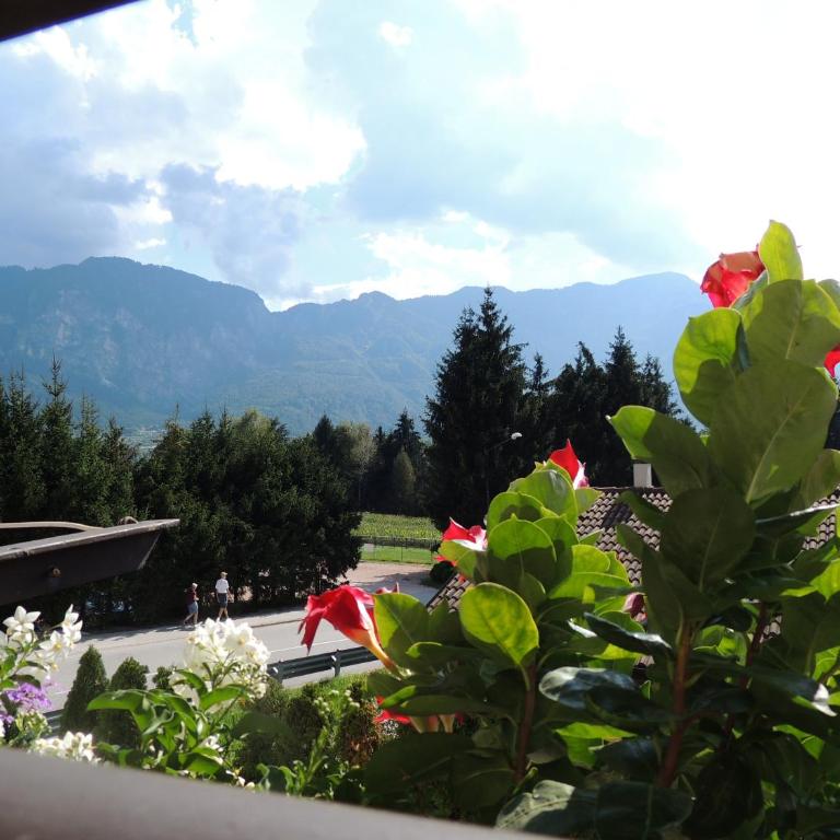 Appartamenti Casa Prandel - Appartement avec Balcon - 11