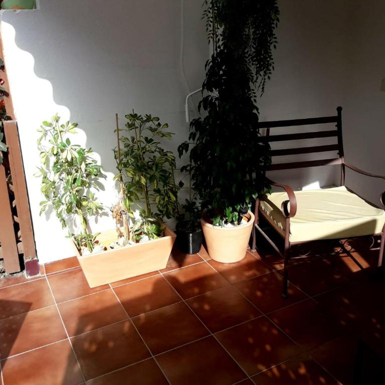 Maspalomas Bungalow C I - One-Bedroom House - 25