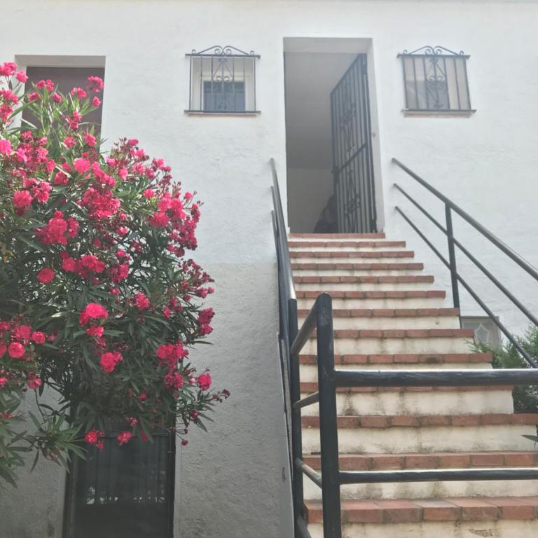 22B puigmal D - Apartamento - 17