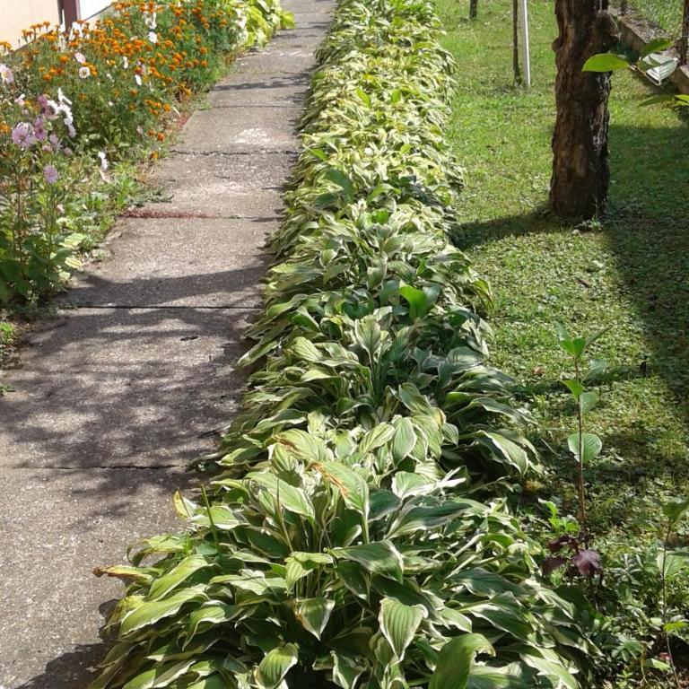 Apartman Anđelina Vrnjačka Banja - Apartman - 6