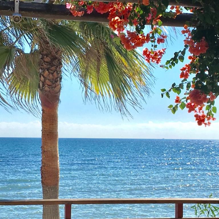 MI CAPRICHO 2D BEACHFRONT- Apartment with sea view - Costa del Sol - Apartamento de 2 dormitorios - 15