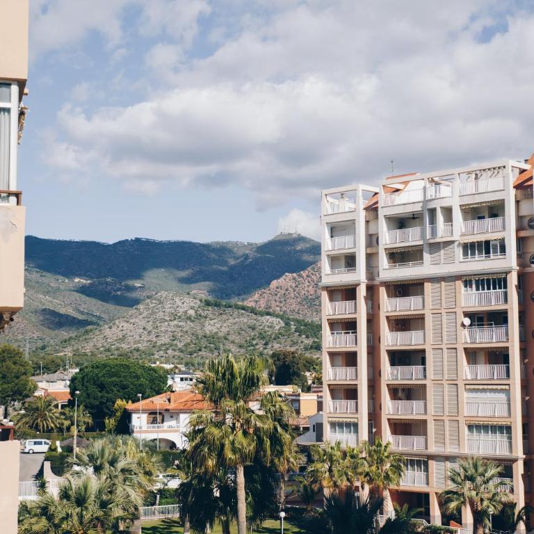 Madeira - Apartamento - 7