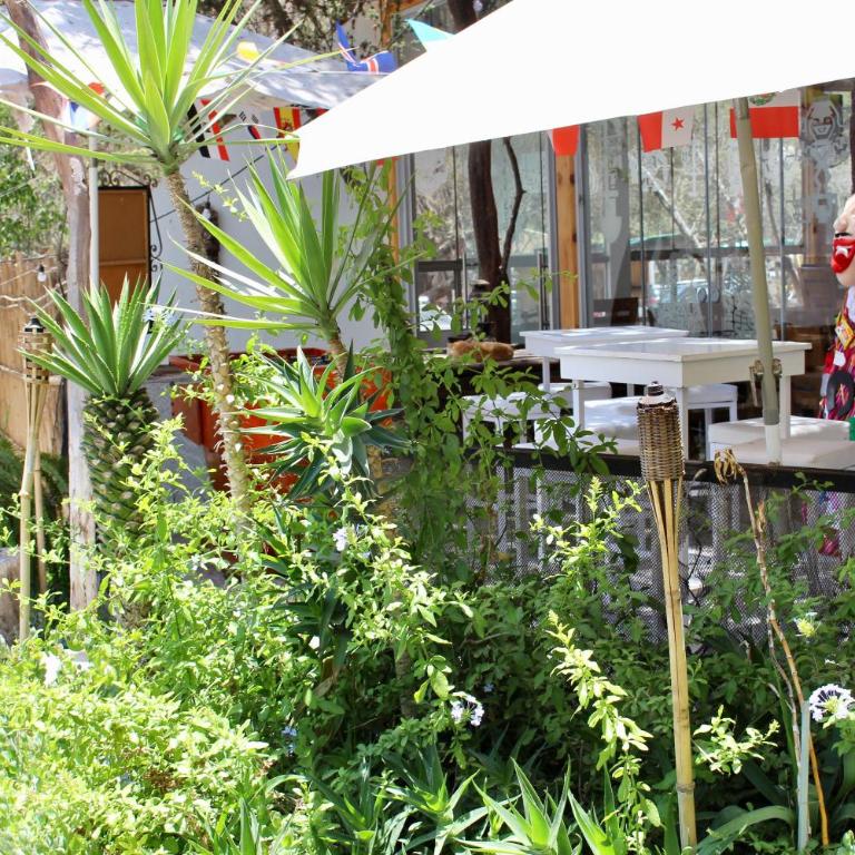 Rochabus - Double Room - 40