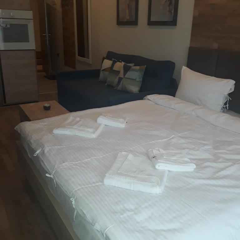 Apartman Lux Premier 09 Kopaonik - Studio Apartment - 46