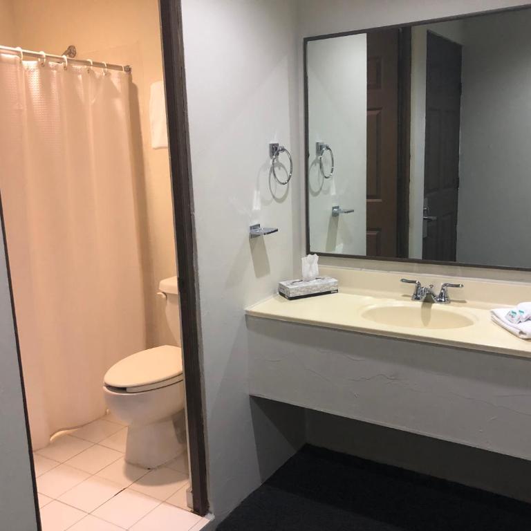 Hotel Plaza del Arco - Monterrey - Junior Suite - 8
