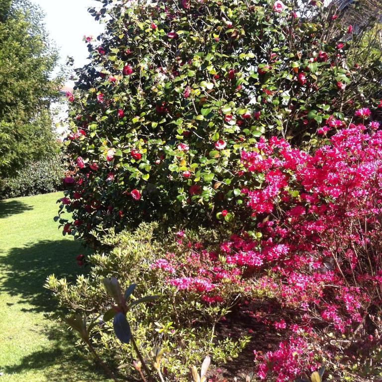 Villa Pare Gabea - 1 ou 2 chambres, jardin privatif 600m2 - Anglet - Appartement 2 Chambres avec Terrasse - 9