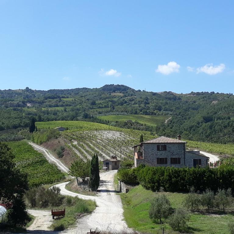 Villa Podere S.Antonio - Villa con Piscina Privata - 11