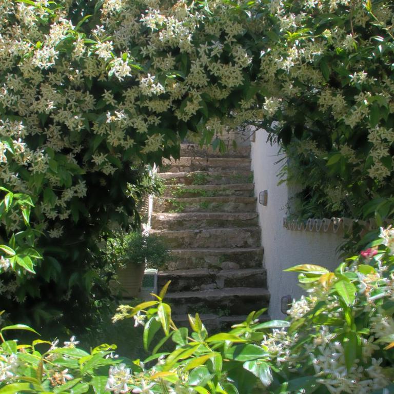 La Bouganville Gaeta - Villa con Vista Mare - 29
