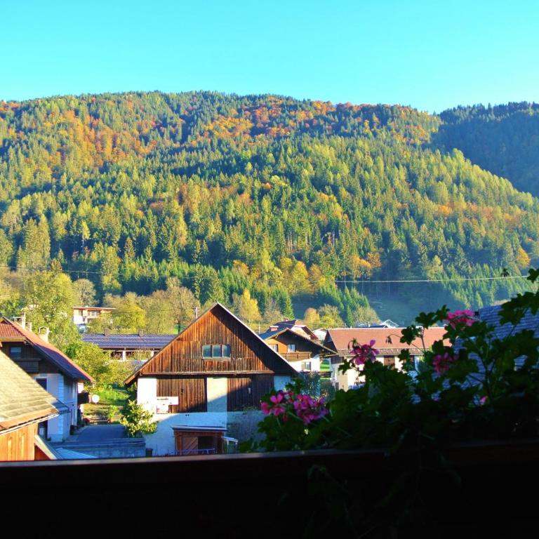 Haus Fischer Nassfeldblick - Doppelzimmer - 5