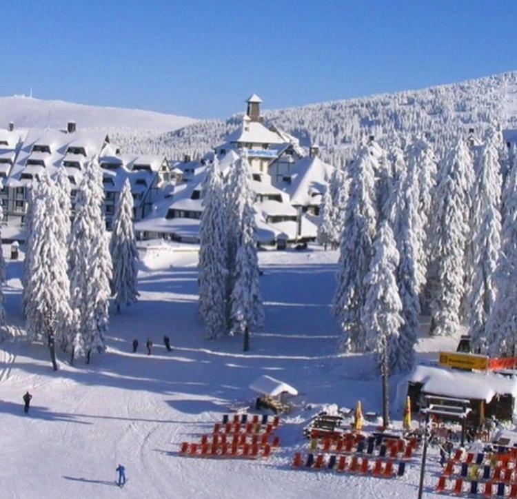 Family Apartment 5 Lux Vidik Kopaonik - Apartment - 30