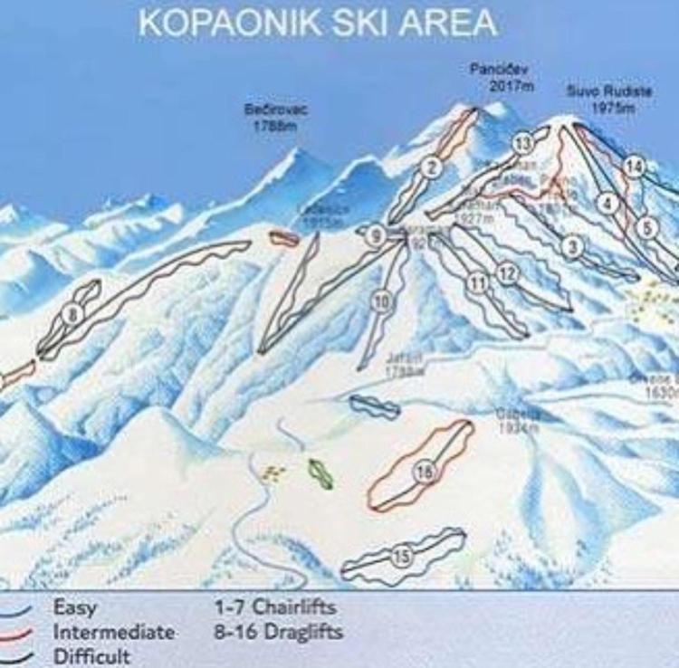 Family Apartment 5 Lux Vidik Kopaonik - Apartment - 27