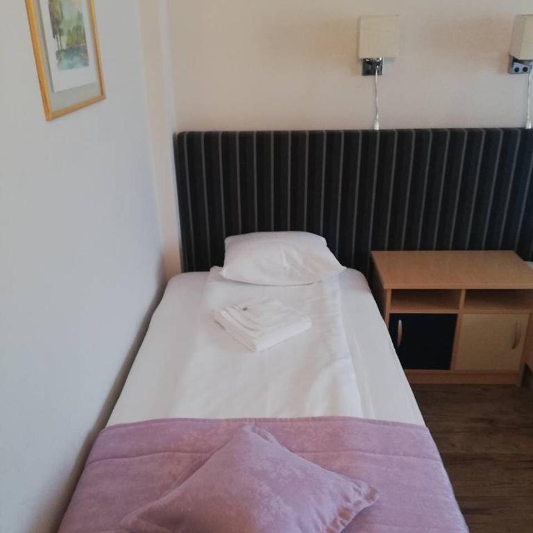 Zepter Hotel Drina Bajina Basta, member of Zepter Hotels - Jednokrevetna Soba - 1