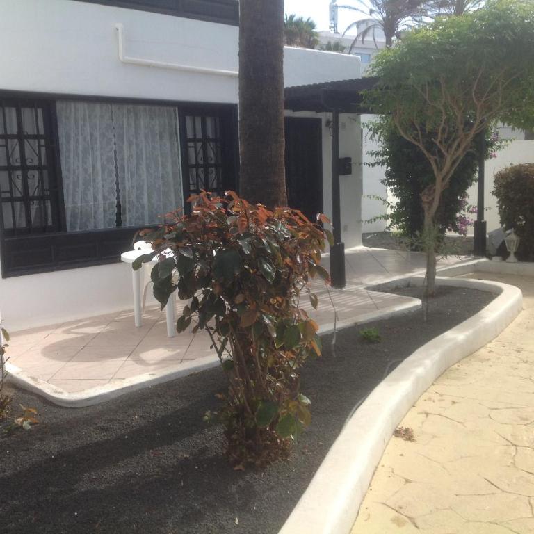 Villa Oasis - Apartamento - 6