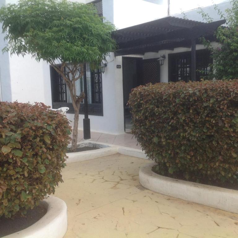Villa Oasis - Apartamento - 23