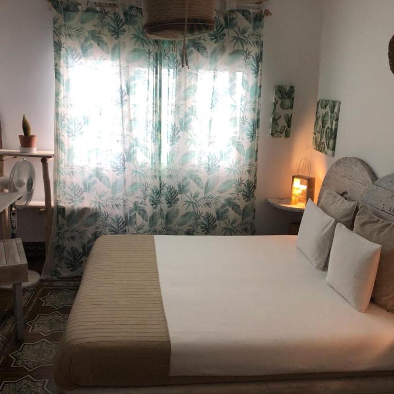 Cactus Host - Suite - 25