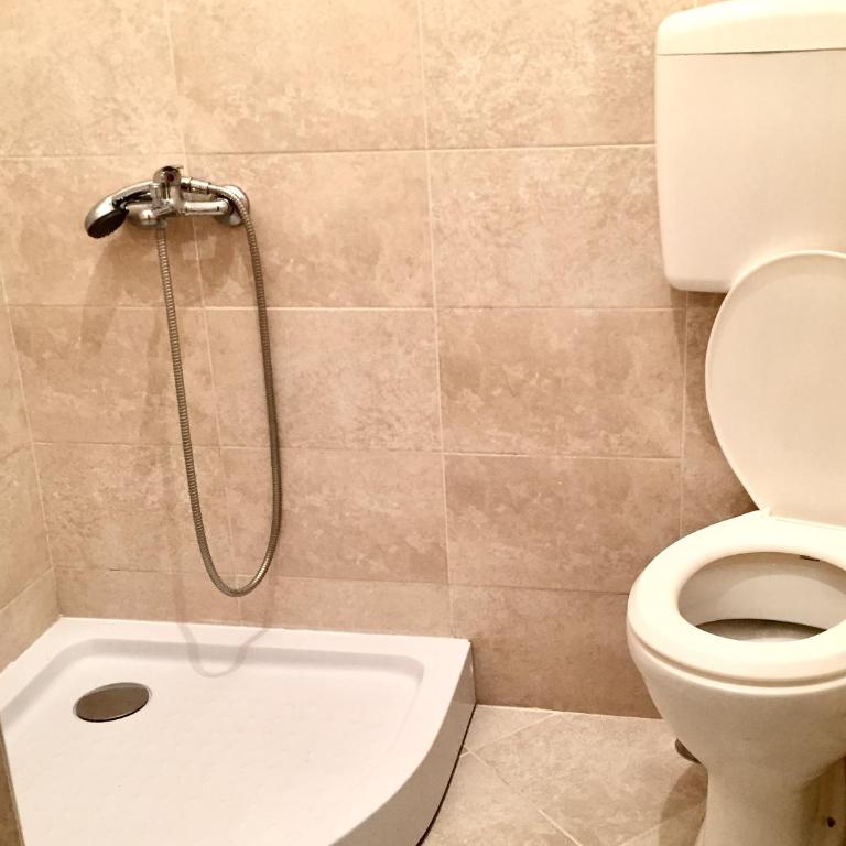 Apartmani Milanovic Susanj - Studio Apartment - 13