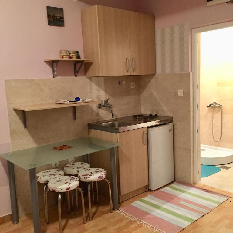 Apartmani Milanovic Susanj - Studio Apartment - 11
