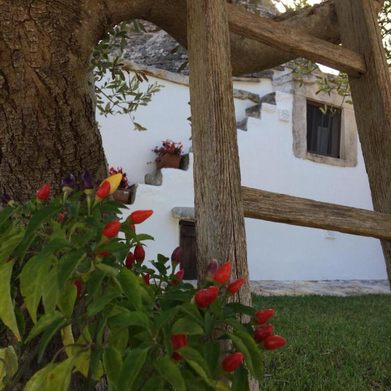 Trulli La collinetta - One-Bedroom House - 32