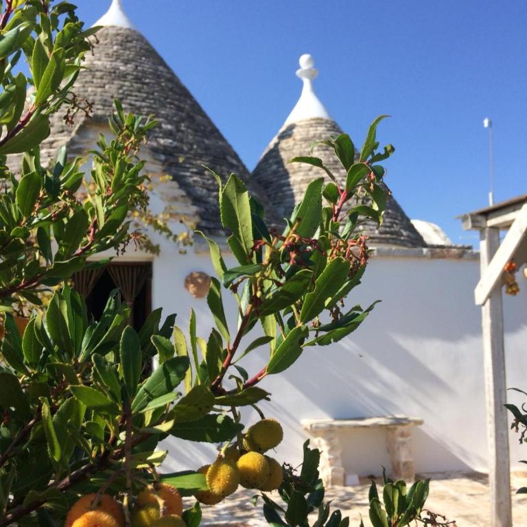 Trulli La collinetta - One-Bedroom House - 31