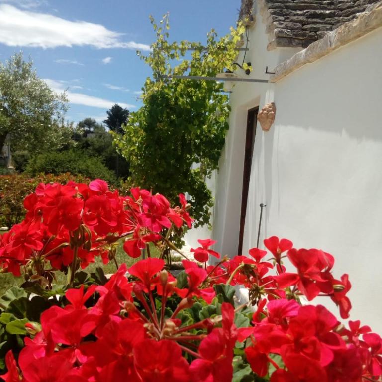Trulli La collinetta - One-Bedroom House - 9