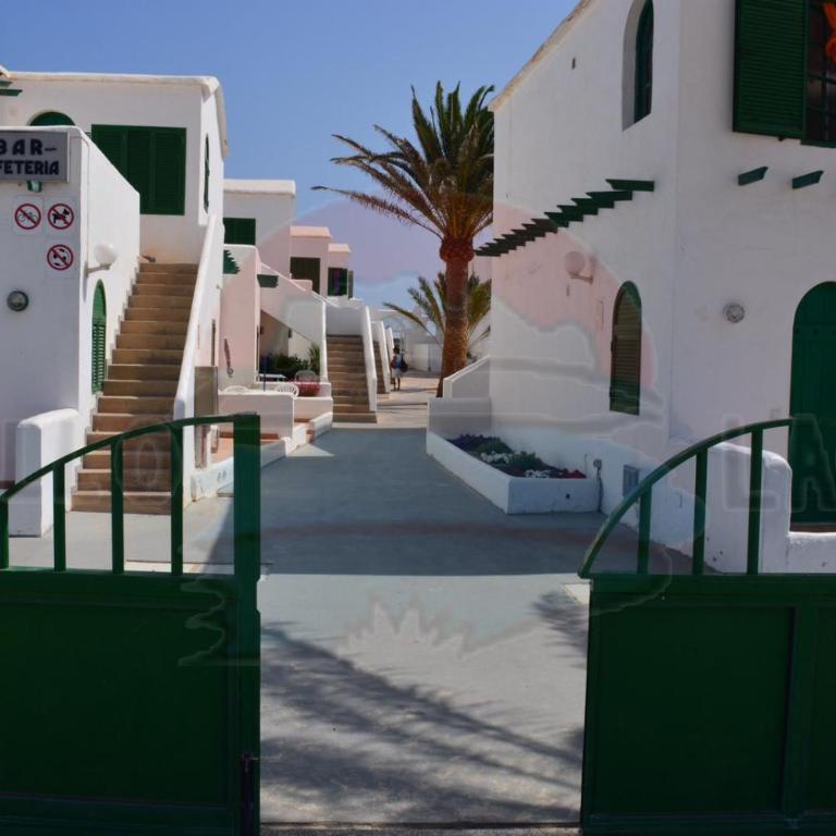 Cotillo Lagos - Estudio - 14