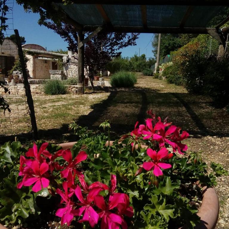 Trulli La collinetta - One-Bedroom House - 14