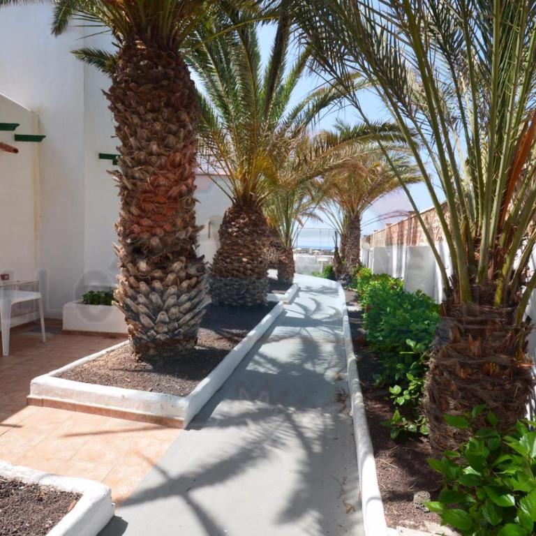 Cotillo Lagos - Estudio - 12