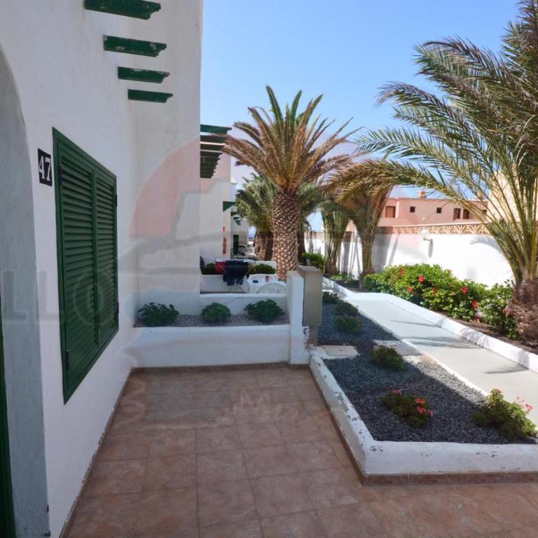 Cotillo Lagos - Estudio - 11