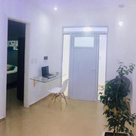 C1 Suite - Apartamento - 4