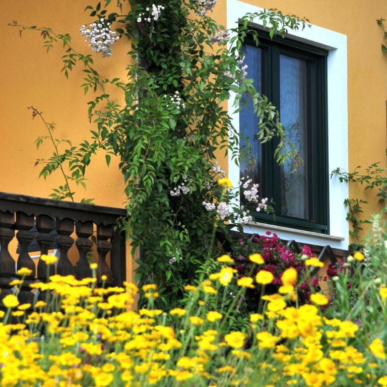 Sulamith Ferienhaus mit Garten - Ferienhaus mit Garten - 24