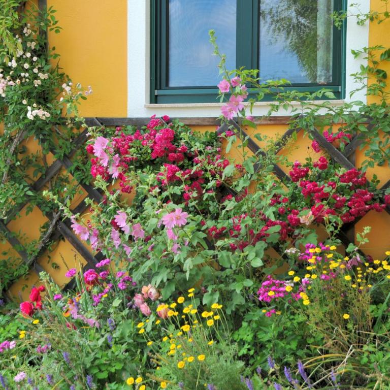 Sulamith Ferienhaus mit Garten - Ferienhaus mit Garten - 20