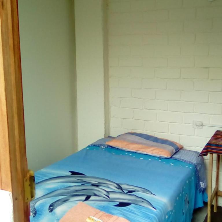 Hospedaje Casa Viru - Habitación Individual con vistas al jardín - 2