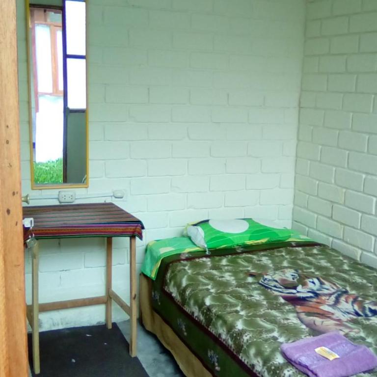 Hospedaje Casa Viru - Habitación Individual con vistas al jardín - 2