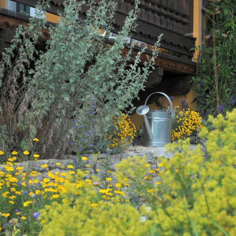 Sulamith Ferienhaus mit Garten - Ferienhaus mit Garten - 19