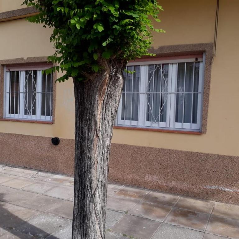 Departamentos Silvia - Apartamento - Planta baja - 2