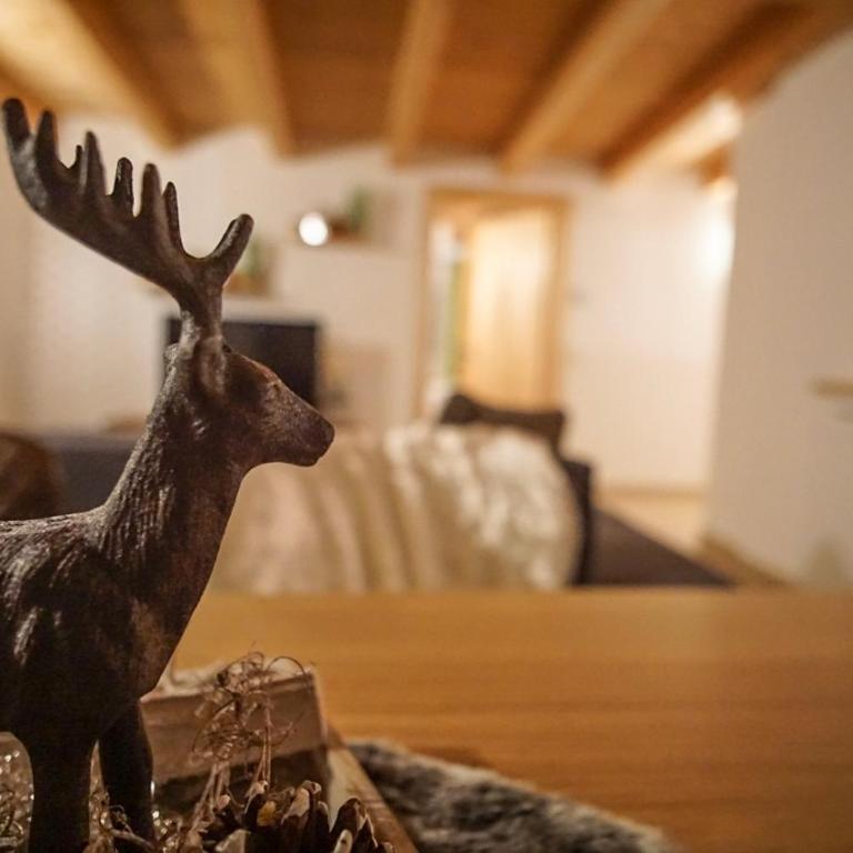 Apart Waldblick - Appartamento - 5