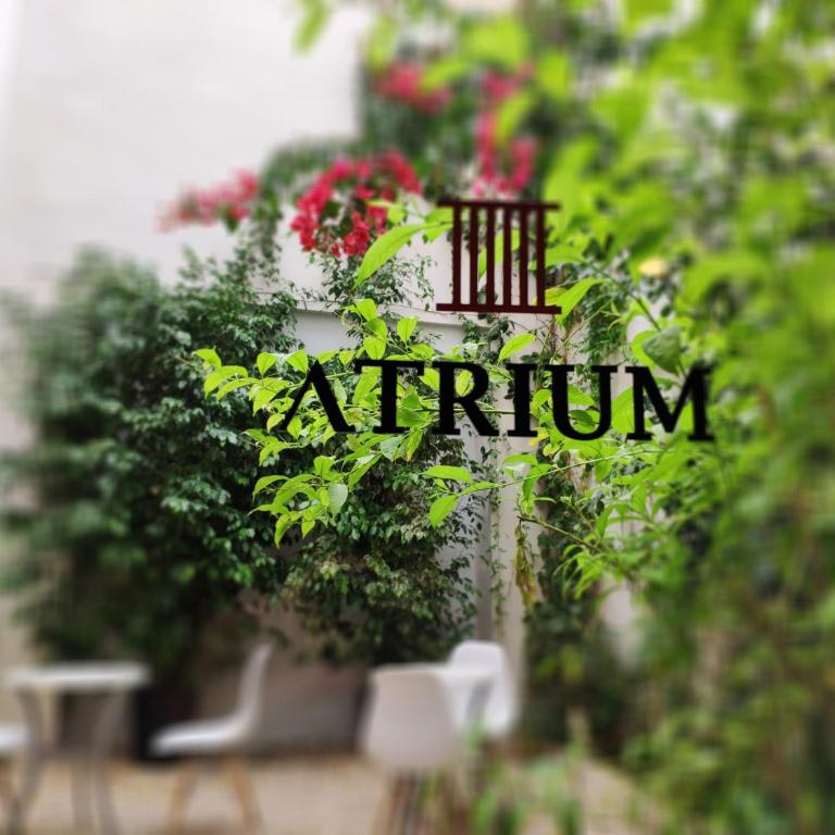Apartamentos Córdoba Atrium - Standard Studio - 12