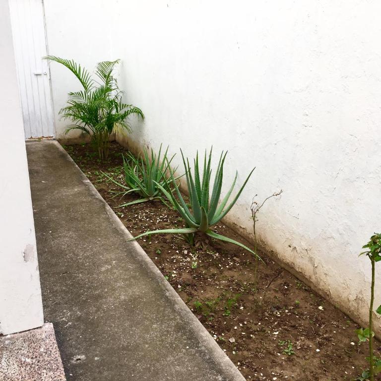 Casa Baraka, Casa Vacacional en Mazatlán cerca de Malecón, Centro Histórico y Playa - Three-Bedroom Townhouse - 26