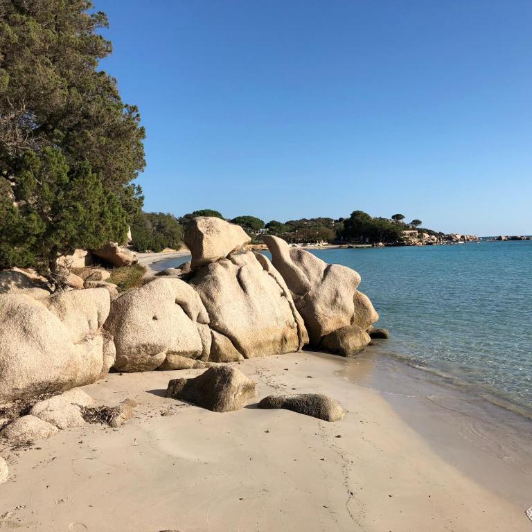 Villa Orethaga Piscine 10 pers porto Vecchio - Villa con 4 Camere da Letto - 29