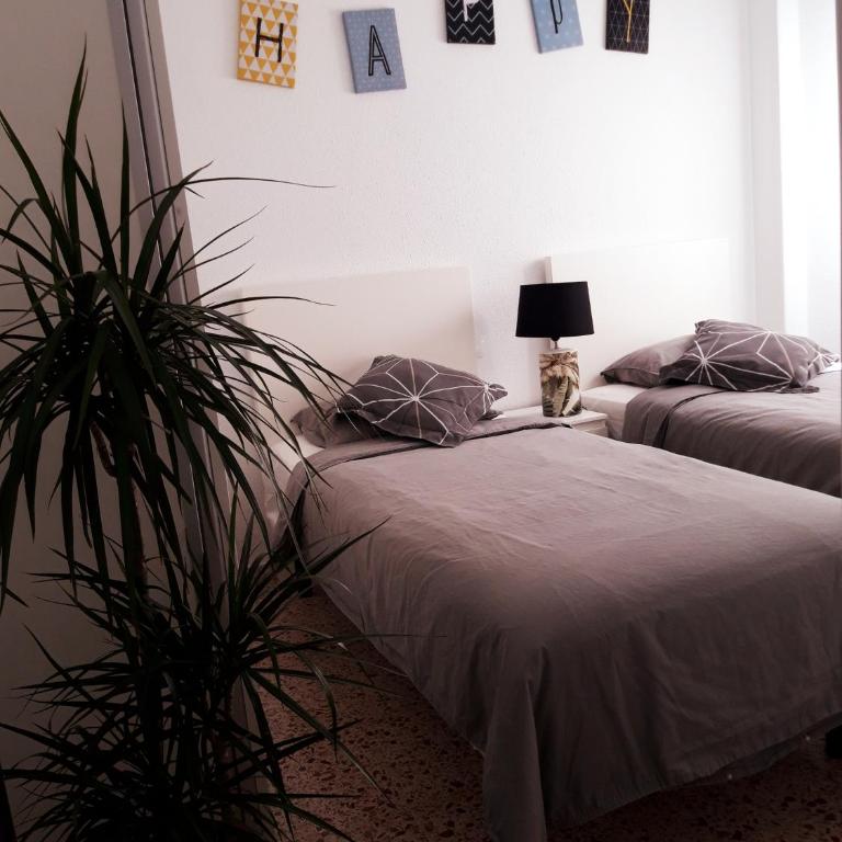 Sunset - Apartamento - 16