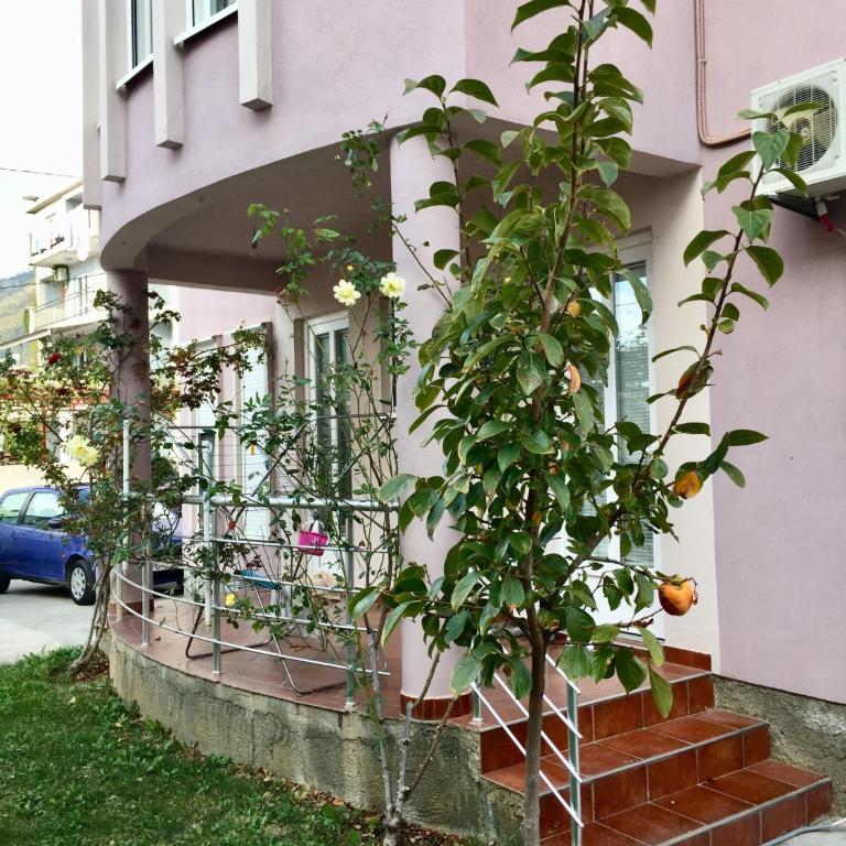 Apartmani Milanovic Susanj - Studio Apartment - 5