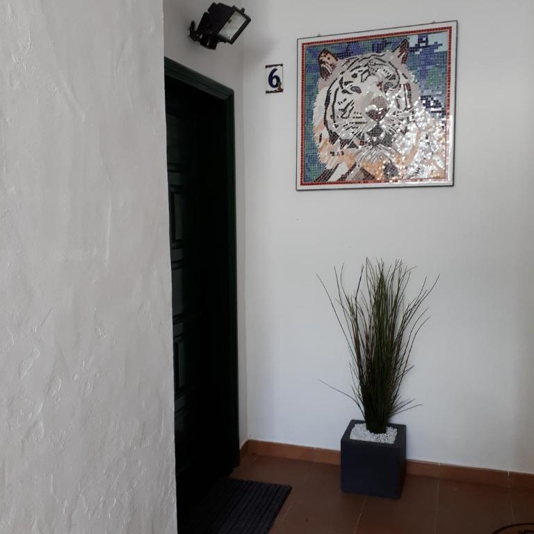 apartamento MAKTUB - Apartamento - 16